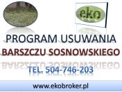 Program zwalczania barszczu Sosnowskiego, tel. 504-746-203, plan dla gmin.