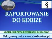 Założenie konta w bazie Kobize, cena tel. 502-032-782. Wykonanie raportu