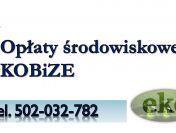 Obliczanie opłat środowiskowych, tel. 502-032-782.Raport do Kobize