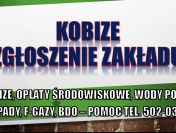 Raportowanie do Kobize, cennik tel. 502-032-782. zgłoszenie firmy