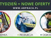 PRACOWNIK PRODUKCJI – AUTOMATYCZNE MYCIE SKRZYNEK  (M/K)