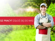 PRACOWNIK PRODUKCJI MAT FASZYNOWYCH (M/K)